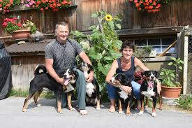 From wikimedia commons, the free media repository. Fruher Ein Stuck Heimat Heute Immer Seltener Sein Schlechter Ruf Eilt Dem Appenzeller Sennenhund Voraus