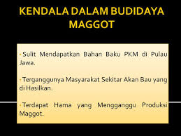 We did not find results for: Oleh Arindina Azzahrawaani Mutiara Program Studi Perikanan Ppt Download