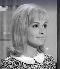 Secret Agent" That's Two of Us Sorry (TV Episode 1965)