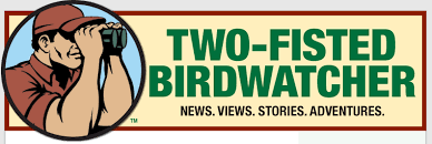 Image result for two-fisted