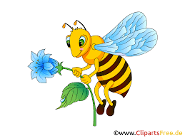 Save 15% on premium images with code stockio15. Biene Bild Clip Art Illustration Grafik Gratis