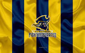 Название (англ.) bodacious space pirates. Elmshorn Fighting Pirates German American Football Club Gfl Blue Yellow Silk Flag Hd Wallpaper Peakpx