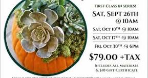 Pumpkin Succulent Make & Take