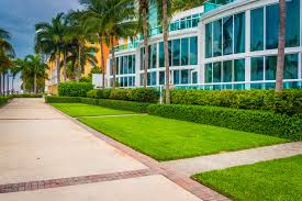 Lawn care & weed control. Best Landscaping Company In Dubai Garden Maintenance Services