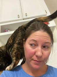 Doberman dogs opening bathroom doors