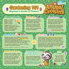 Maybe you would like to learn more about one of these? Hi I Made The Visitor Watering Graphic That Has Been Making Rounds Recently I Decided To Make Gardening 101 Beginner S Guide To Flowers As A Basic Starting Point For Everyone Interested In