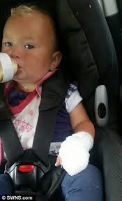 Greyhound locked jaws