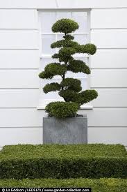 In Detail Led5179 Jardin Japonais Design De Petit Jardin Amenagement Jardin