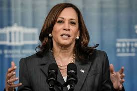 Kamala devi harris is an american politician and attorney serving as the 49th and current vice president of the united states. Vice President Kamala Harris Lays Out Strategy To Address Illegal Immigration Insider Voice