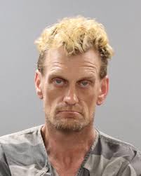 Warden, Haley Renee Mugshot