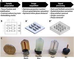 Soft tissue injuries can be painful and take time to heal. Optimising Complementary Soft Tissue Synchrotron X Ray Microtomography For Reversibly Stained Central Nervous System Samples Scientific Reports