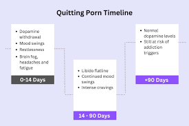Porn withdrawal timeline