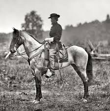 Zara tindall looked delighted today as she competed for a second day in her first horse trials since giving birth to lucas four month ago at home in cheltenham. Spirit Horse Branding Horses In Movies Tv