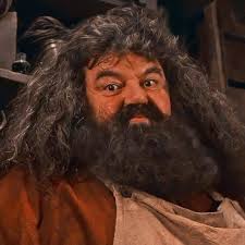 Hagrid and Dumbledore's Friendship in the Harry Potter Series