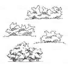 Set Of Hand Drawn Architect Bushes Dendrology Sketch Collection Vector Id1000899064 1 024 1 024 Pixels Bush Drawing Landscape Sketch Landscape Drawings