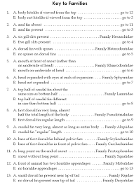 Amy embarrassed the entire family by taking the fish cheeks. Https Www Millerplace K12 Ny Us Cms Lib Ny02208586 Centricity Domain 955 9 12 20mphs 20marine 20science Pdf