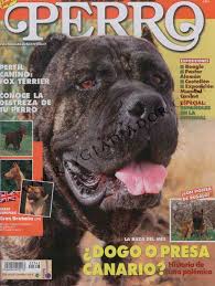 Why buy a presa canario puppy for sale if you can adopt and save a life? Dogo O Presa Canario Historia De Una Polemica Rey Gladiador World Class Presa Canario Breeder