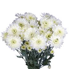 Mobile, daphne, spanish fort, saraland, satsuma, semmes, irvington, coden, axis, bayou la batre, grand bay,prichard. White Cushion Pom Poms Flowers Delivery Globalrose