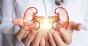 ไตวาย (kidney failure หรือ renal failure) คือ ภาวะที่ไตสูญเสียความสามารถในการกรองของเสียออกจากเลือด ผู้ป่วยมักมีอาการเหนื่อยง่าย มึนงง ปัสสาวะน้อยลง มีอาการ. à¸¨ à¸™à¸¢ à¹„à¸•à¹€à¸— à¸¢à¸¡ Bangkok Hospital