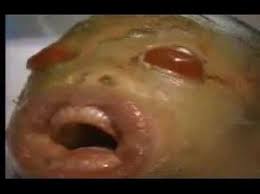 Resultado de imagem para bebe alien