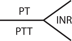 Partial Thromboplastin Time Wikipedia