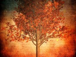 Apple logo ipad wallpaper 5731 266. Aesthetic Autumn Red Fall Leaves Nature Ipad Wallpaper Hd Ipad Wallpapers 4k Ipad Wallpapers 5k Free Download Ipad Pro Ipad Mini Ipad Air Ios Ipados Parallax Ipad Retina Wallpapers