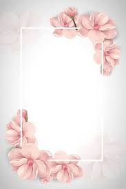 Rose Section Carte Ne Contexte Ne Carte Ne In 2020 Wedding Photography Display Beautiful Wedding Photography Anniversary Photography