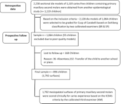 Maybe you would like to learn more about one of these? Prevalence Of Cusp Of Carabelli And Its Caries Susceptibility An Ambidirectional Cohort Study Bhavyaa 2020 Australian Dental Journal Wiley Online Library