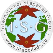 Image result for Xysmalobium holubii