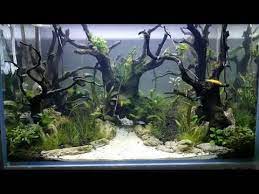 Cara Merawat Aquascape Jungle Style Aquascape Water Change Aquascape Youtube Air Air Terjun