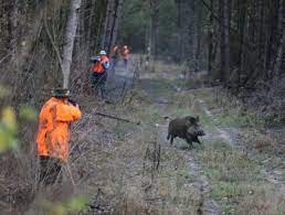 Je me suis limité à des films d'action, même si certains de ces films sont vraiment cool. La Chasse Au Sanglier Prolongee D Un Mois Dans Les Ardennes