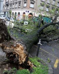 Snažno nevrijeme zahvatilo je Zagreb nakon što je Državni hidrometeorološki  zavod izdao crveni alarm zbog vrlo jakog vjetra. U Zagrebu drveće pada na  automobile i radi veliku materijalnu štetu, no zasad nema