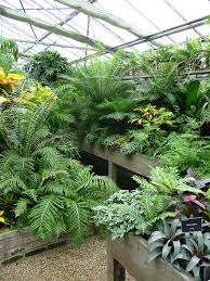 Visitez Les Serres Du Jardin Du Luxembourg Paris 6e Jardin Du Luxembourg Jardin Du Luxembourg Paris Et Luxembourg Paris