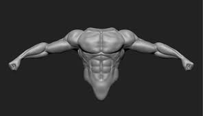 Torso back human anatomy torso muscle body anatomy male silhouette torso medical torso bone and muscle heart plastic model human vascular medical anatomy human body muscles 3d. Anatomy 3d Model Male Torso Cgtrader