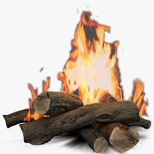 Animated Camp Fire 3d Model 59 Max Fbx Obj Free3d