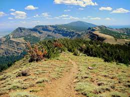 National forest in northeastern california. Modoc National Forest Wikipedia