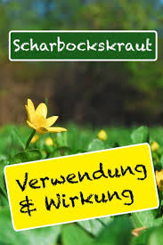 Pin Auf Hochsensibel Mit Der Natur Leben