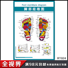 Buy Foot Foot Store Foot Scrapping Health Care Meridian