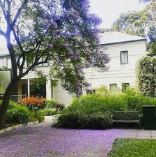 From Our Friends At Melbourne Unimelb A Sea Of Purple At International House Photo By Ihmelbourne Goviewyou Instagram Posts Photo Instagram