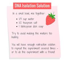 The worksheets are offered in developmentally appropriate versions for kids of different ages. Camp Yellow Scope Strawberry Dna