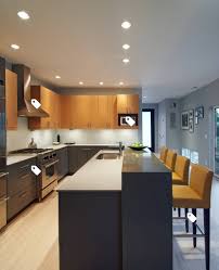 From Houzz Blue With White Trim And Maybe Grey Wall Modern Kitchen Cabinets Kitchen Cabinet Styles Classy Kitchen