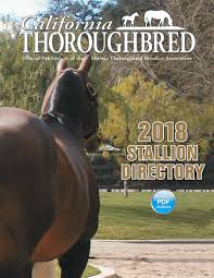 California Thoroughbred Stallion Directory 2018 By Ctba Issuu