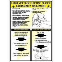 High resolution eco solvent satin laminated print on 4mm thick sunboard. Electric Shock Poster Pdf Safetyshop