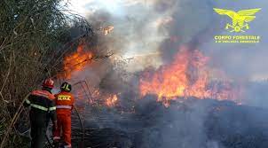 Jun 22, 2021 · coronavirus sardegna. Sardegna 16 Incendi Hanno Devastato Le Campagne Ogliastra Vistanet