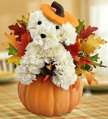 In addition to fresh fruits and vegetables there are prepared foods, flowers, plants, some clothing items and other food items. A Dog Able For Fall Cape Coral Fl Florist Same Day Flower Delivery For Any Occasion Halloween Floral Arrangements Animal Flower Arrangements Halloween Flowers