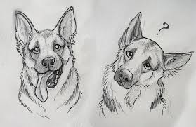 While tigers are a more common animal than many others on this list, it is still one of the coolest animals in the world. German Shepherds Animal Drawings Dog Drawing Animal Sketches