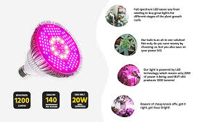 To grow a plant with a high light requirement, you want 30 to 40 watts per square foot of canopy area. Amazon Com Haus Bright Original Led Grow Light Bulb For Indoor Plants Full Spectrum Lamp Seed Starting House Garden Vegetable Succulent Hydroponic Greenhouse Medicinal Growing 100w E27