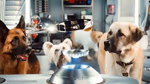 Cats Dogs 2 The Revenge Of Kitty Galore James Marsden Allergic To Cats Is A Bit Of A Dog Film Review Online