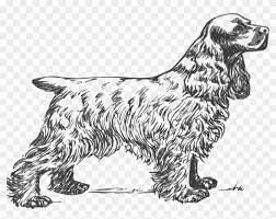 Cocker spaniel coloring page from dogs category. Golden Retriever Clipart Black And White Cocker Spaniel Coloring Page Png Download 2718270 Pikpng
