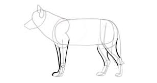 Check spelling or type a new query. Sketchbook Original How To Draw Wolves Monika Zagrobelna
